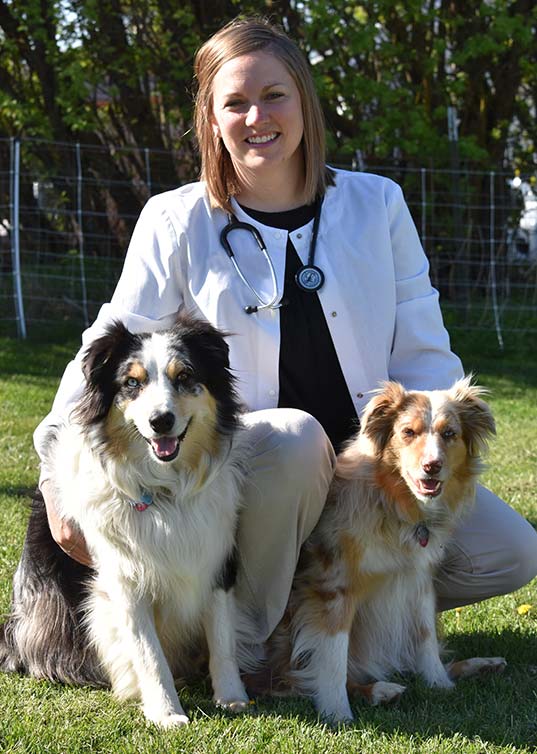 Veterinarian